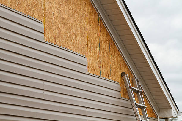Professional Storm Damage Siding Repair technician working in Dublin, VA